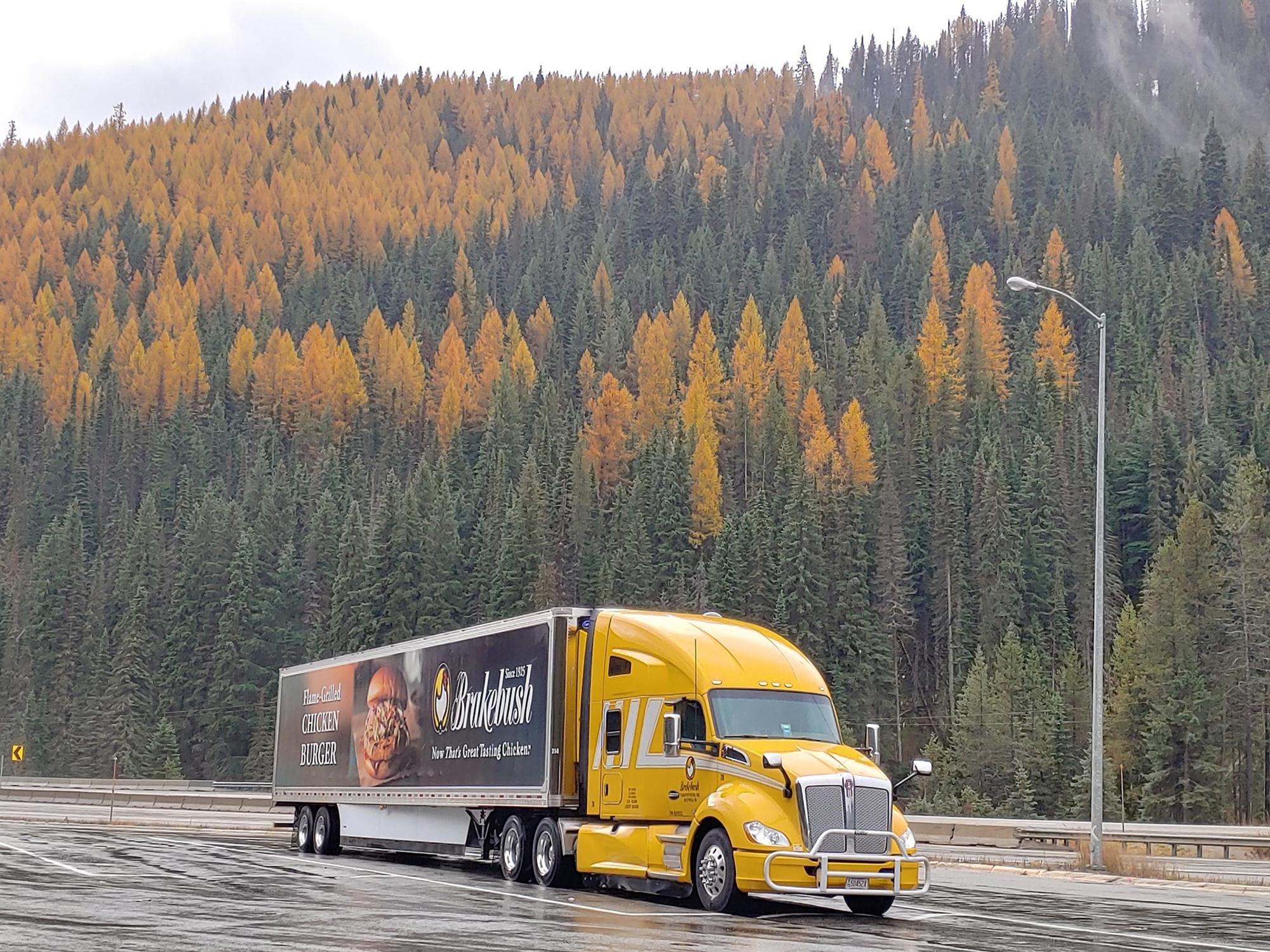 reefer truck driving jobs for veterans